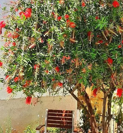 The - Corfu Lejlighed