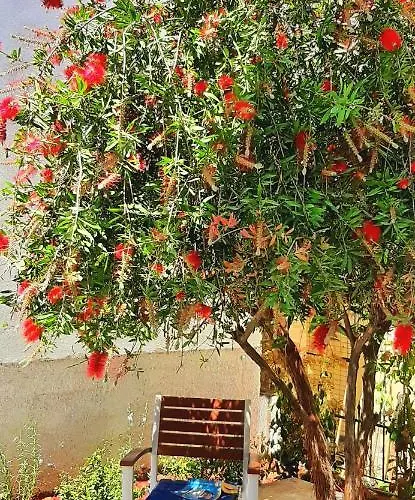 The - Corfu Appartamento