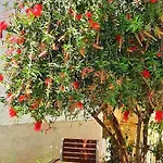 The - Corfu Apartment